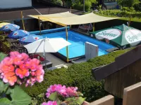 Janika Pension - piscina
