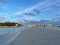 La Isla Tropica