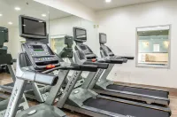 Holiday Inn Express & Suites OLATHE SOUTH by IHG - Fitnessstudio
