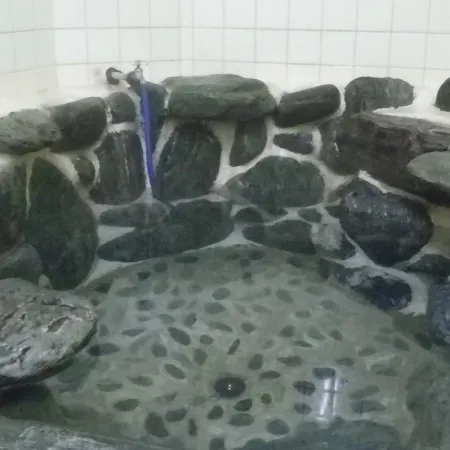 Kadota Ryokan