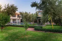 Villa Zahi Hotels in 