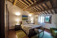 Panoramic Villa in Tuscany Rolling Hill, Well Connected, Everyday New Journey to - Pet friendly