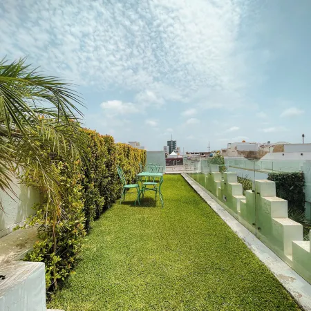 Riad Zyo