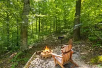 Bearly Behaving 1 Bedroom Cabin - Chalets
