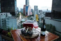 Hotel Fontan Reforma Centro Historico - Cho phép mang theo thú cưng