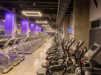 HS Hotsson Cdmx Condesa Sur Hotels near Chapultepec Forest