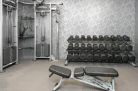 Homewood Suites by Hilton Holyoke-Springfield/North - Gym