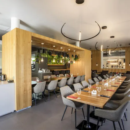 Ibis Plzen