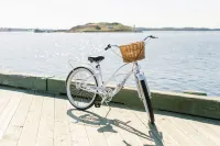 Muir, a Luxury Collection Hotel, Halifax - วิว