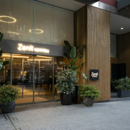 Zenit Borrell