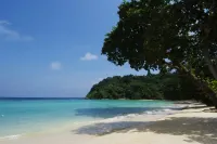 Tanjong Jara Resort, Terengganu - Small Luxury Hotels of the World - Beach