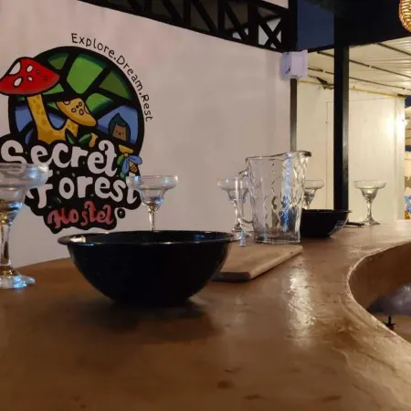 Secret Forest Hostal