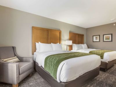 Comfort Inn Jasper South