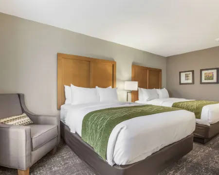 Comfort Inn Jasper South Hotels in Jasper