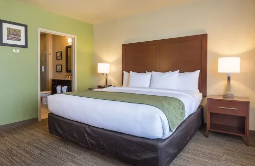 Comfort Inn Bentonville - Crystal Bridges