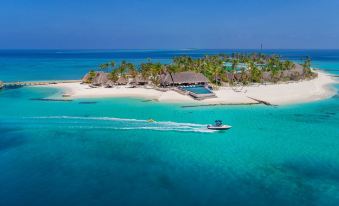 aerial view of a tropical island with a boat in the water and palm trees surrounding it at Fushifaru Maldives