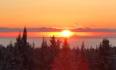 Cozy Cove Inn - Housity