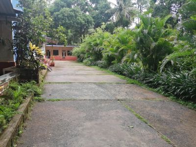 Other Wild Flower Photo