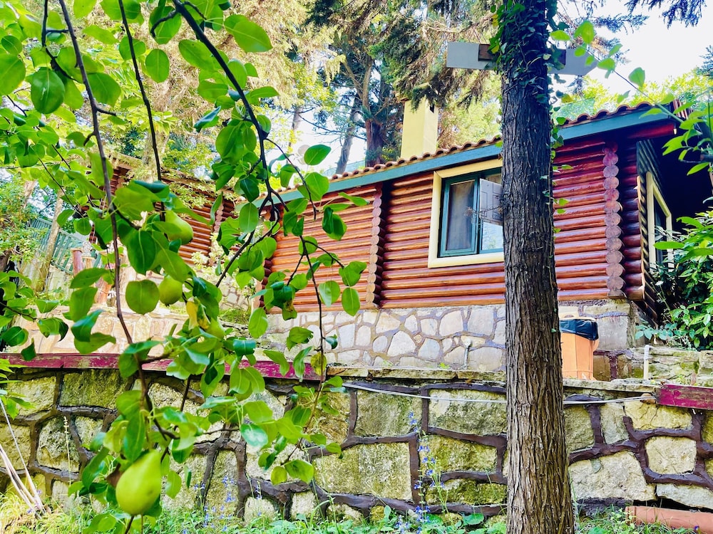 Ağva Orman Evleri Forest Lodge (Agva Orman Evleri Forest Lodge)