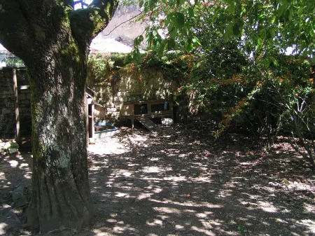 Verseau, les Constellations