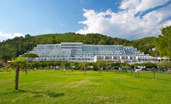 Hotel Mimosa Lido Palace - Maslinica Hotels & Resorts