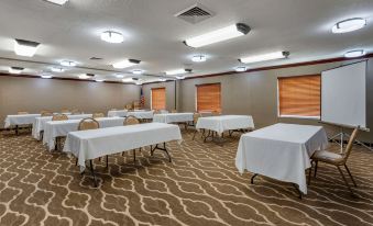 Comfort Inn & Suites St Louis-O'Fallon