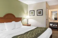 Comfort Inn Pine Grove I-81 Hershey Area Hotels in Union Township