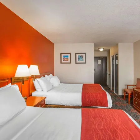 Comfort Inn & Suites University