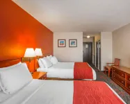 Comfort Inn & Suites University - 2-stjärniga