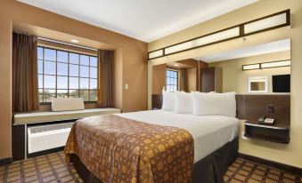 Microtel Inn & Suites by Wyndham Buda Austin South