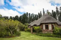 Coral Tree Cottages - Apartments