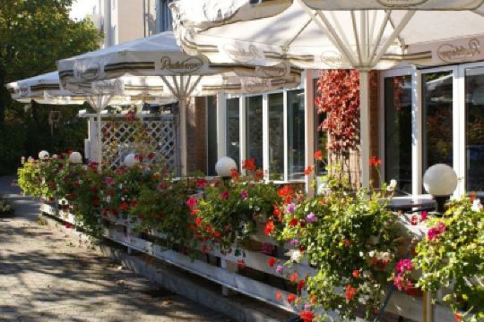 庭 リングホテル レジデンツ アルト ドレスデンの写真