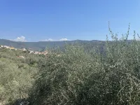 Casa Maria (Dol135)