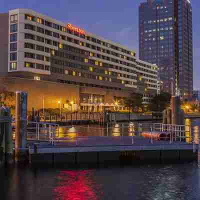 Sheraton Norfolk Waterside Hotel Hotel Exterior