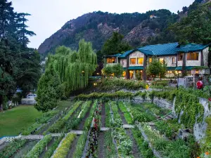 Shervani Hilltop Resort