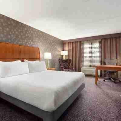 Hilton Garden Inn Springfield, MA Rooms