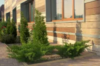 Tesoro 飯店 頓河畔羅斯托夫住宿飯店