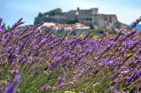 Première Classe Martigues - Haustierfreundliche