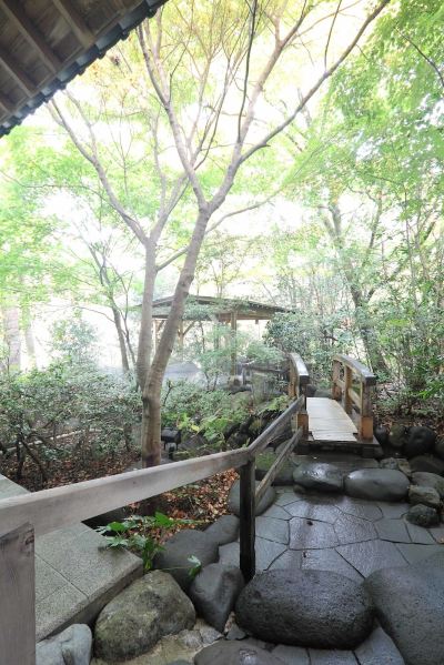 庭 鬼怒川温泉 花の宿 松やの写真