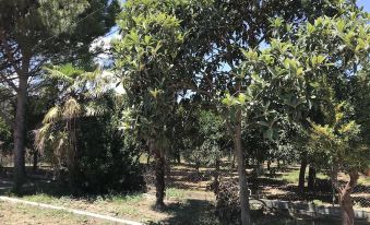 Taygetos - Housity