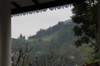 Selfcate Luxury Apartments