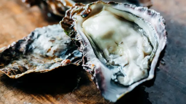 Seaside Katsuragahamaso