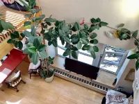 BB Yoshida A Relaxing Inn Surrounded by Greenery Hotels in Ebetsu