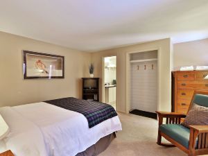 The Birch Ridge: Mission Room #4 - Queen Suite in Killington, Vermont 1 Bedroom Home