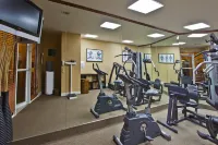 Holiday Inn MIAMI BEACH-OCEANFRONT by IHG - Gym