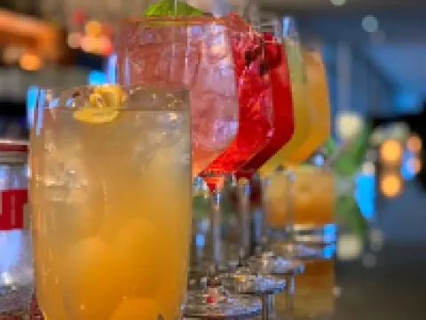 Lago Hotel & Restaurant am See Hotels in Ulm