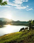 Green View Resort - que admiten mascotas