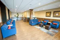 Comfort Inn & Suites - Wifi