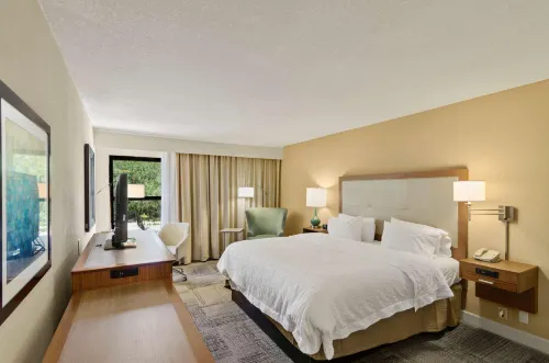 Hampton Inn Mt. Dora - Wifi