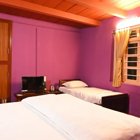 ViGo Homes